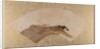 Waves and Rocks, late 19th century by Shibata Zeshin