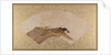 Waves and Rocks, late 19th century by Shibata Zeshin