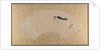 Birds, late 19th century by Shibata Zeshin