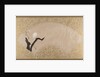 Egret on Tree Stump, late 19th century by Shibata Zeshin