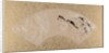 Birds, late 19th century by Shibata Zeshin