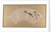 Birds, late 19th century by Shibata Zeshin