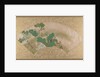 Various Plants and Grass, late 19th century by Shibata Zeshin