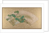 Various Plants and Grass, late 19th century by Shibata Zeshin
