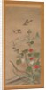 Birds and Flowers of Summer and Autumn, mid-16th century by Shikibu Terutada