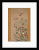 Birds and Flowers of Summer and Autumn, mid-16th century by Shikibu Terutada