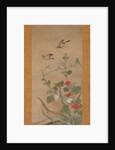 Birds and Flowers of Summer and Autumn, mid-16th century by Shikibu Terutada