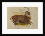 Dying Stag, ca. 1830 by Edwin Henry Landseer