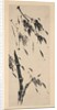Bamboo in the Wind by Taiho Shoko
