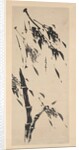 Bamboo in the Wind by Taiho Shoko