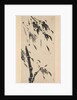Bamboo in the Wind by Taiho Shoko