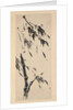 Bamboo in the Wind by Taiho Shoko