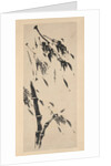 Bamboo in the Wind by Taiho Shoko