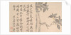 Cassia Tree by Unknown