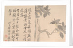 Cassia Tree by Unknown