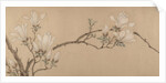 Magnolia, dated 1549 by Unknown