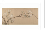 Magnolia, dated 1549 by Unknown