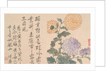 Chrysanthemums by Unknown