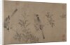 Chinese Bulbuls on Flowering Cherry-Apple by Unknown