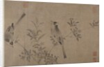 Chinese Bulbuls on Flowering Cherry-Apple by Unknown