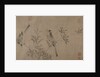 Chinese Bulbuls on Flowering Cherry-Apple by Unknown