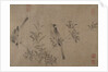 Chinese Bulbuls on Flowering Cherry-Apple by Unknown