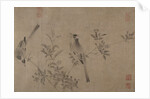 Chinese Bulbuls on Flowering Cherry-Apple by Unknown