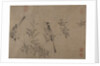 Chinese Bulbuls on Flowering Cherry-Apple by Unknown