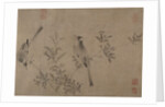 Chinese Bulbuls on Flowering Cherry-Apple by Unknown