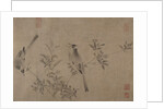 Chinese Bulbuls on Flowering Cherry-Apple by Unknown
