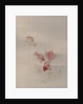 Goldfish, ca. 1887 by Watanabe Seitei