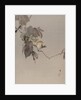 Birds on a Branch, ca. 1887 by Watanabe Seitei
