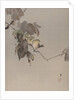 Birds on a Branch, ca. 1887 by Watanabe Seitei