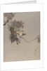 Birds on a Branch, ca. 1887 by Watanabe Seitei