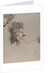 Birds on a Branch, ca. 1887 by Watanabe Seitei