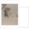Birds on a Branch, ca. 1887 by Watanabe Seitei