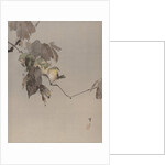Birds on a Branch, ca. 1887 by Watanabe Seitei