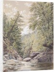 Catskill Clove in Palingsville, 1856 by William Rickarby Miller
