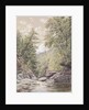 Catskill Clove in Palingsville, 1856 by William Rickarby Miller