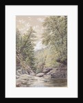 Catskill Clove in Palingsville, 1856 by William Rickarby Miller