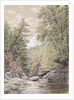 Catskill Clove in Palingsville, 1856 by William Rickarby Miller