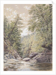 Catskill Clove in Palingsville, 1856 by William Rickarby Miller