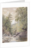 Catskill Clove in Palingsville, 1856 by William Rickarby Miller
