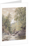 Catskill Clove in Palingsville, 1856 by William Rickarby Miller