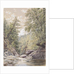 Catskill Clove in Palingsville, 1856 by William Rickarby Miller