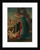 The Nativity, late 15th century by Workshop of Botticelli