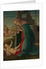 The Nativity, late 15th century by Workshop of Botticelli