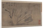 Cabbage and Insects by Xu Daoguang