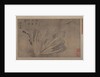 Cabbage and Insects by Xu Daoguang