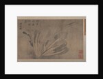 Cabbage and Insects by Xu Daoguang